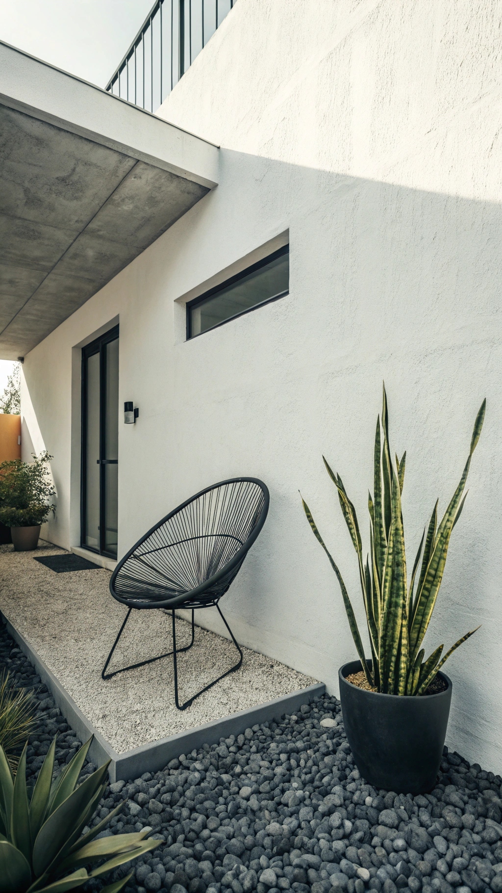 Stark scene of a modern chair and snake plant (Sansevieria trifasciata)