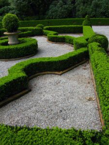 From Versailles To Your Backyard Creating Stunning Parterre Gardens In