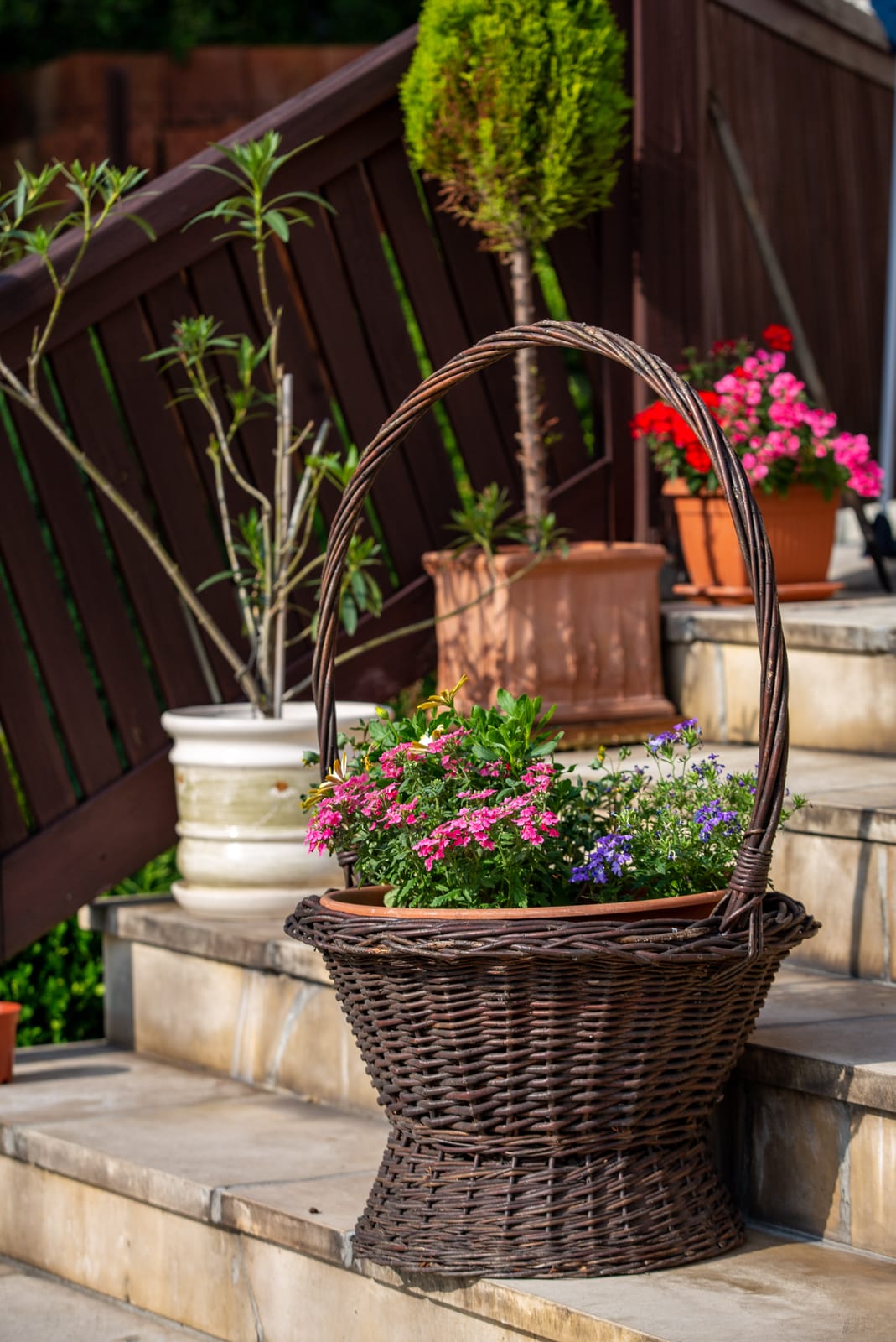 Petunias in a wicker basket