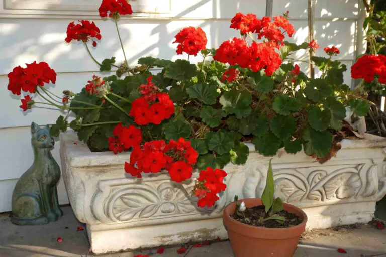 A Guide to Designing Stunning Front Porch Fall Planters