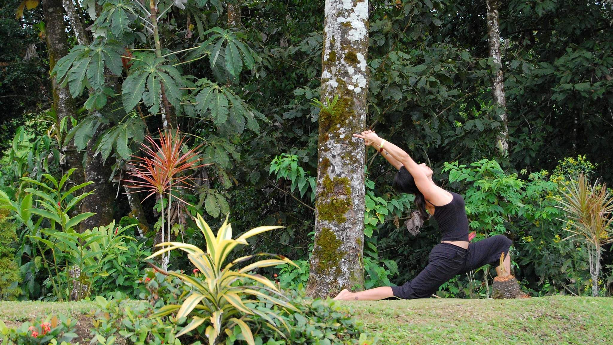 Yoga Garden Ideas: Creating a Space for Mindful Living