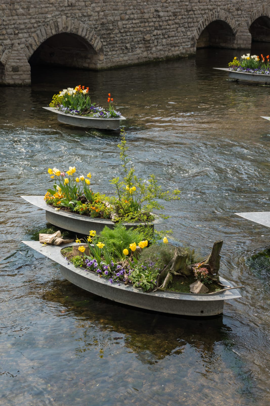 Tulips in boats on the Gera in Erfurt