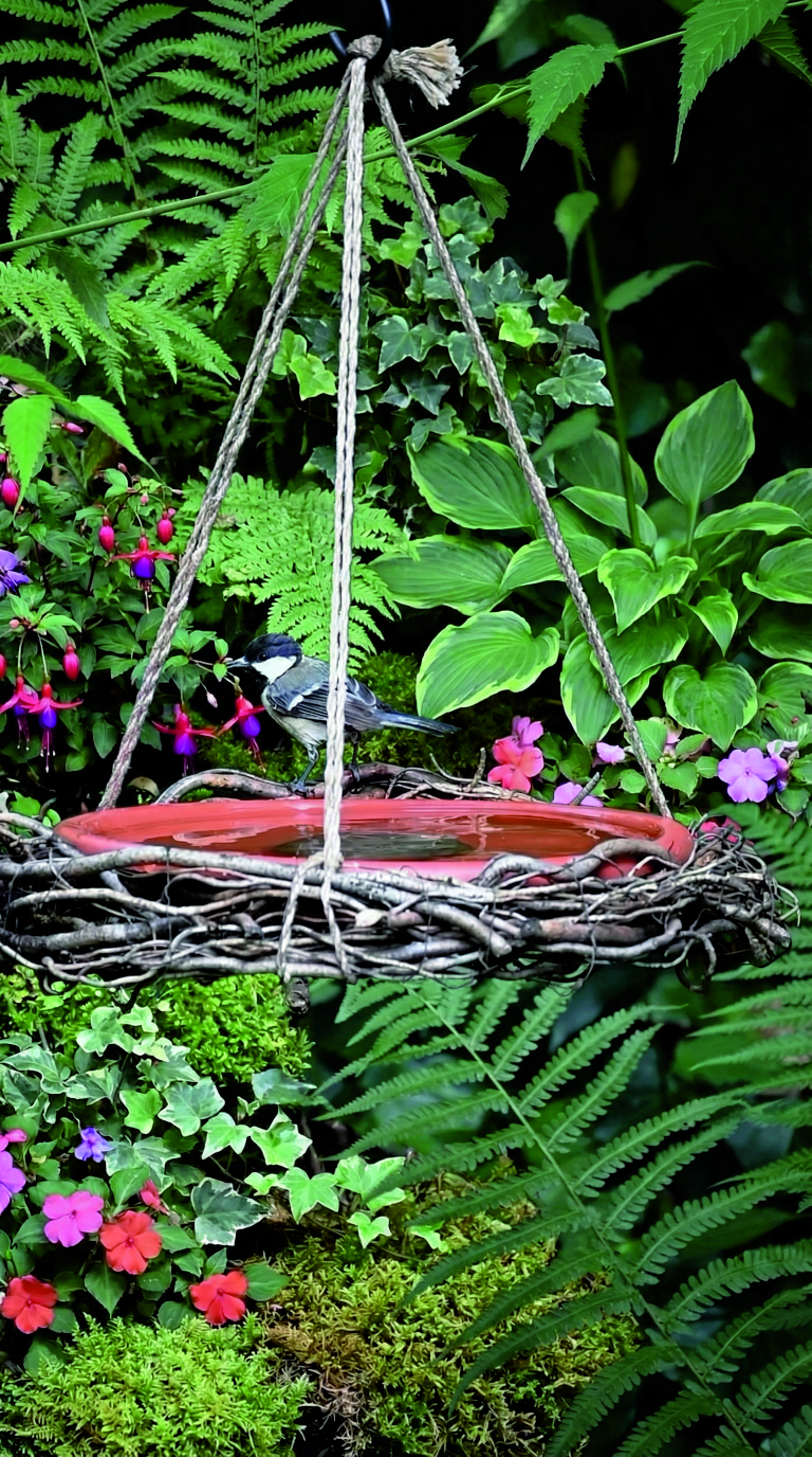 bird feeder ideas backyards