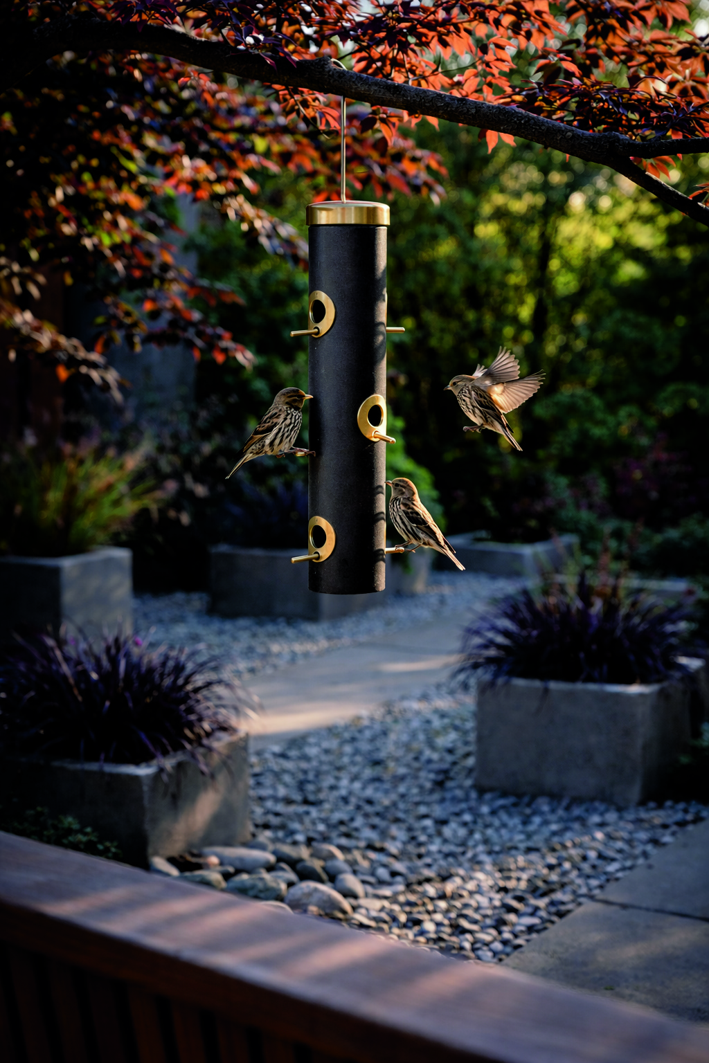 backyard birds feeders: tube feeder