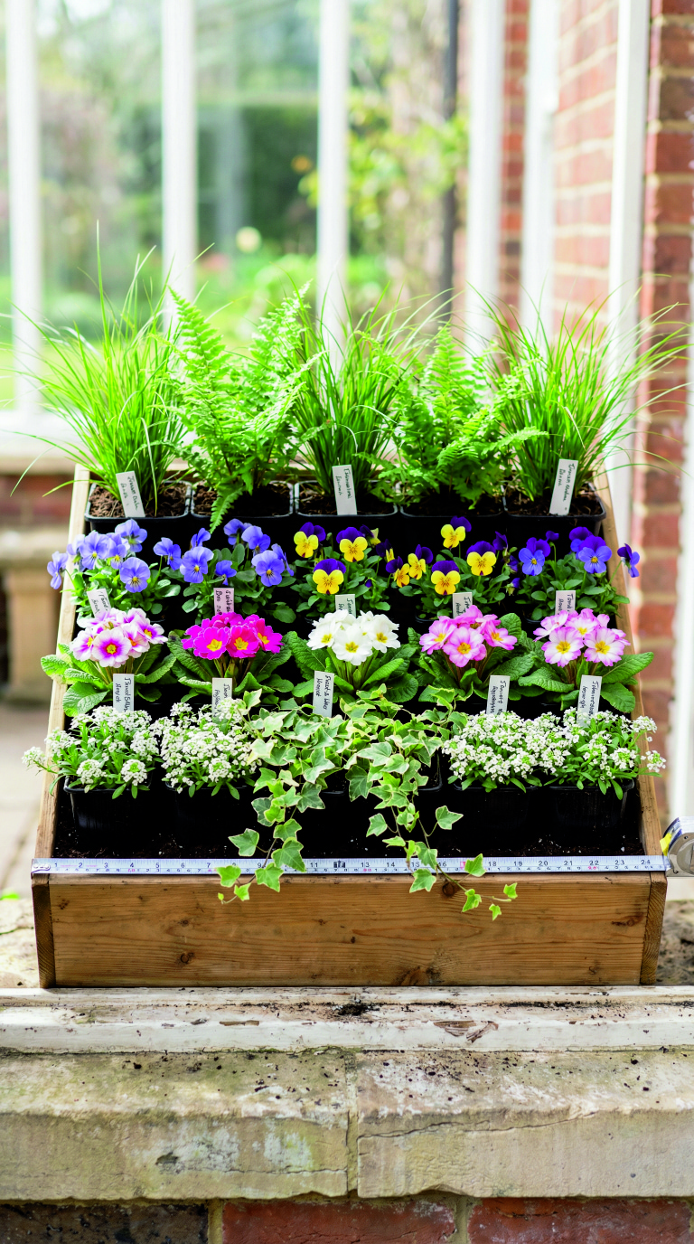 Spring window box layout