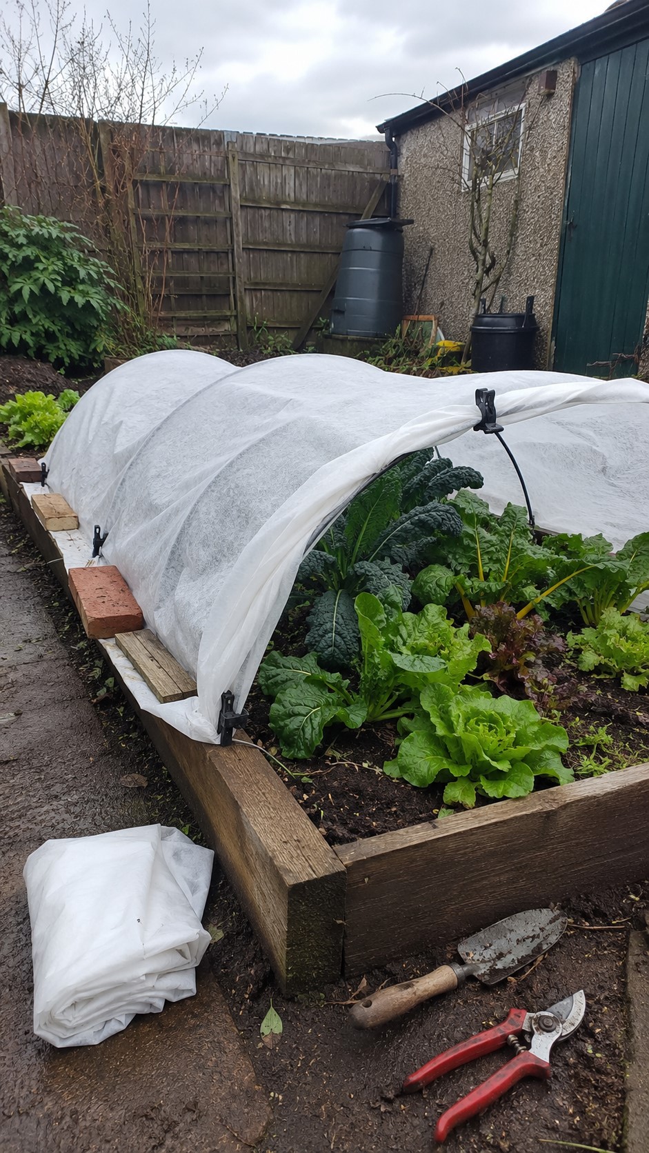 Simple Frost Protection for Winter Garden Plants