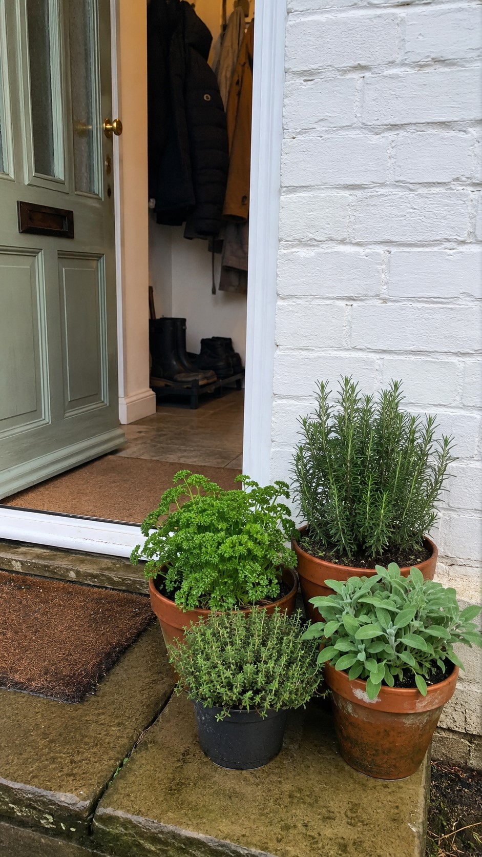 Grow Winter Herbs