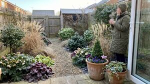 low maintenance winter plants