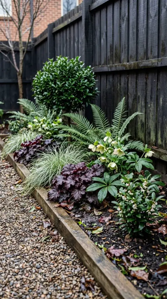 Winter Foliage Plants