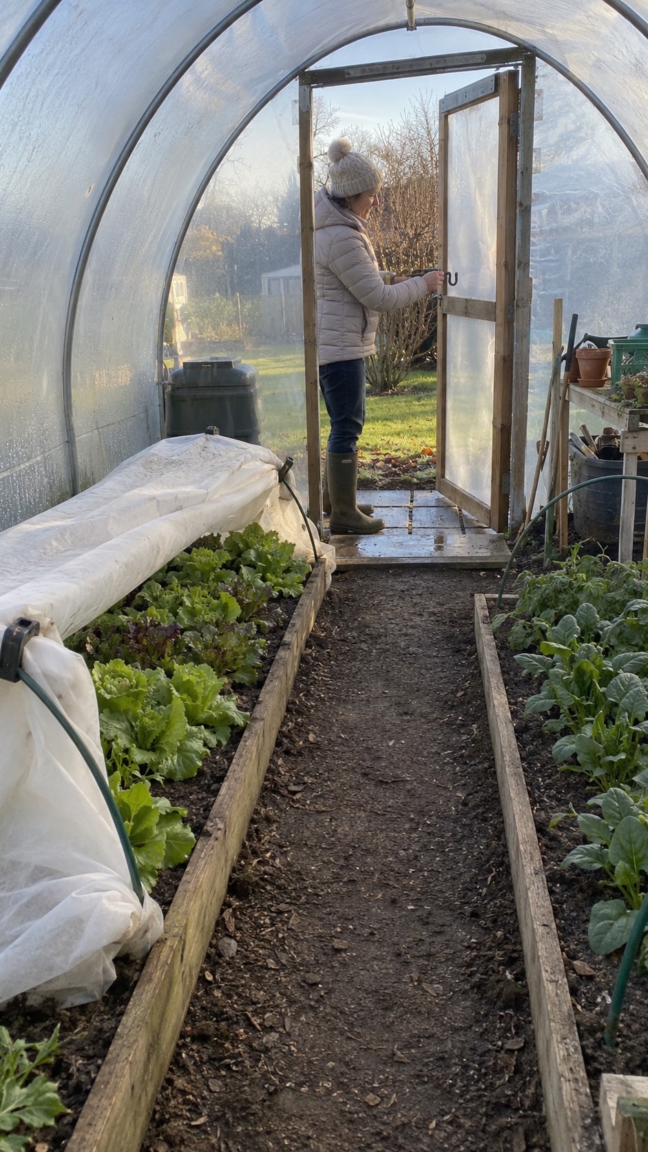 Ventilation for an Unheated Polytunnel in Winter